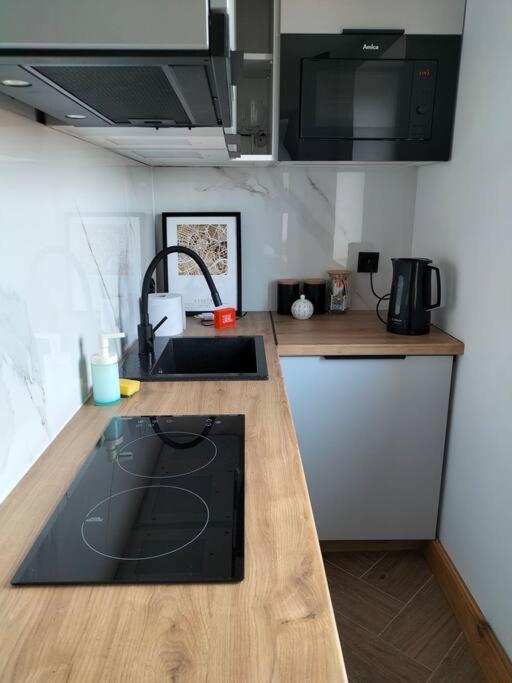 Uroczy Apartament W Centrum Krakowa מראה חיצוני תמונה