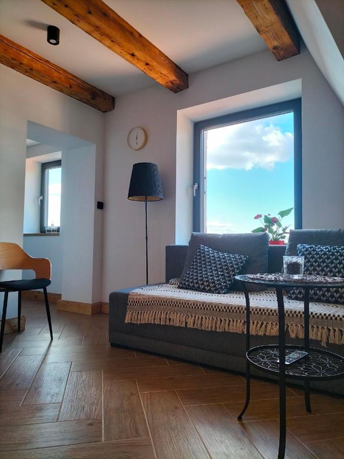 Uroczy Apartament W Centrum Krakowa מראה חיצוני תמונה