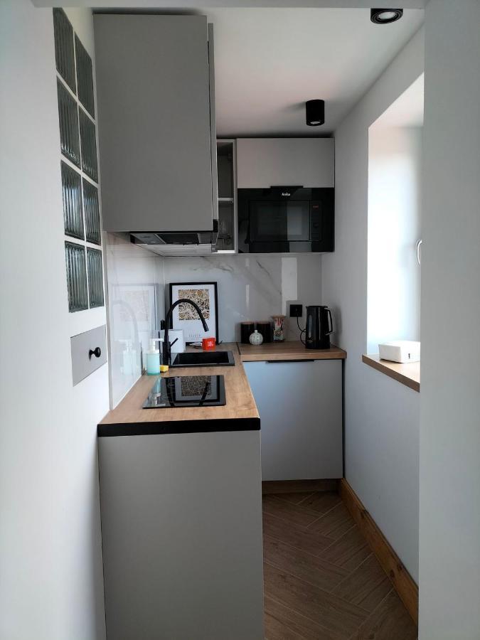 Uroczy Apartament W Centrum Krakowa מראה חיצוני תמונה